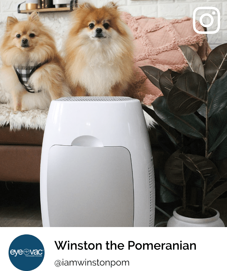 EyeVac Air 6