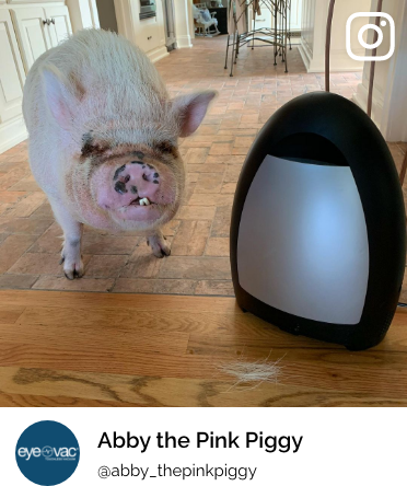 EyeVac Home 1