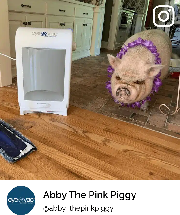 EyeVac Pet 1