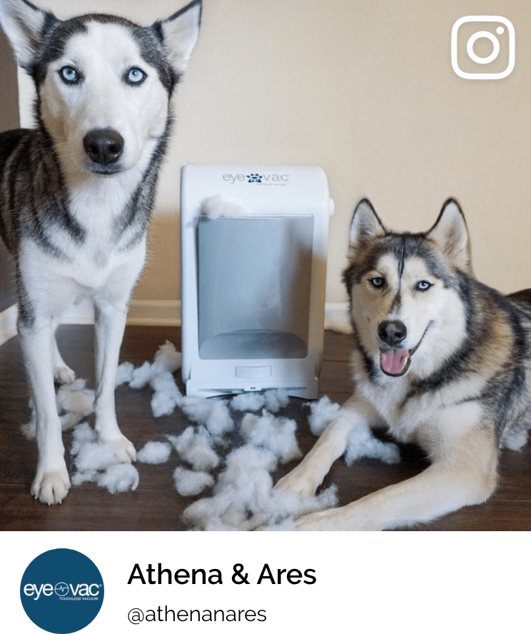 EyeVac Pet 2