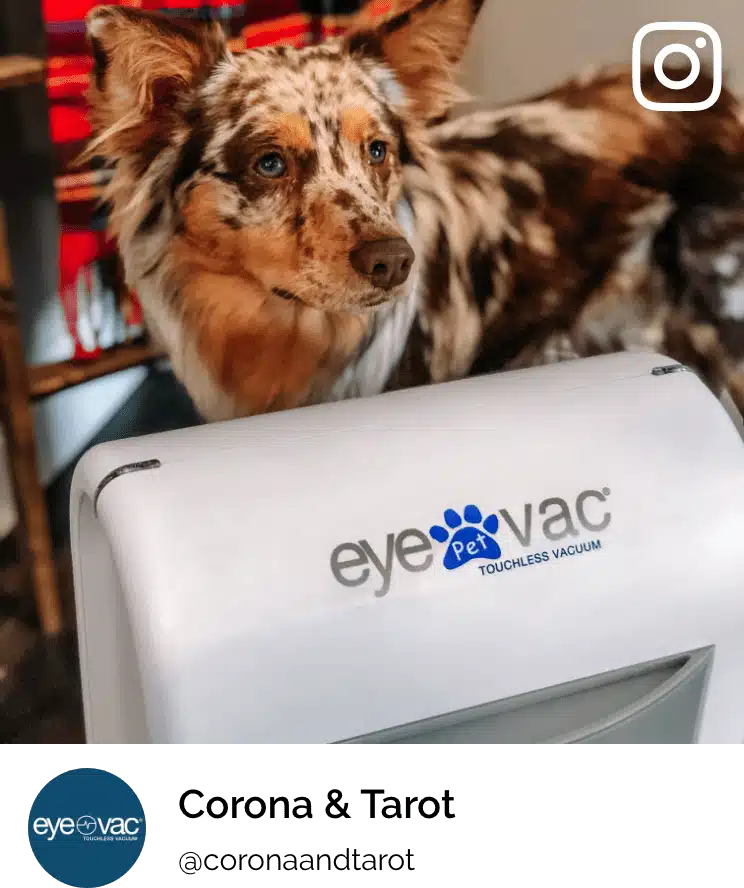 EyeVac Pet 4