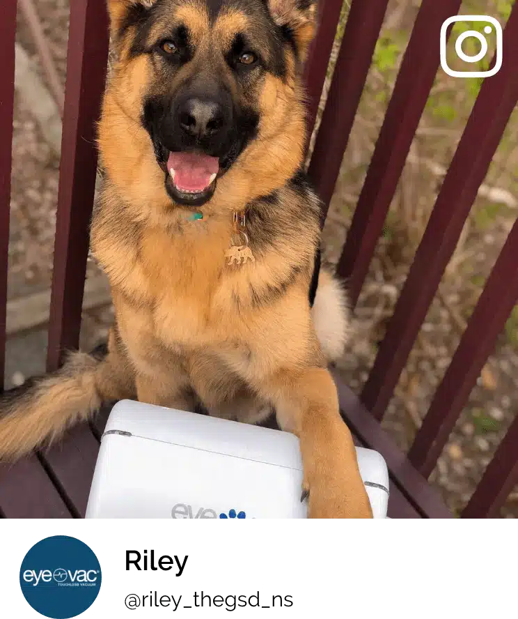 EyeVac Pet 6