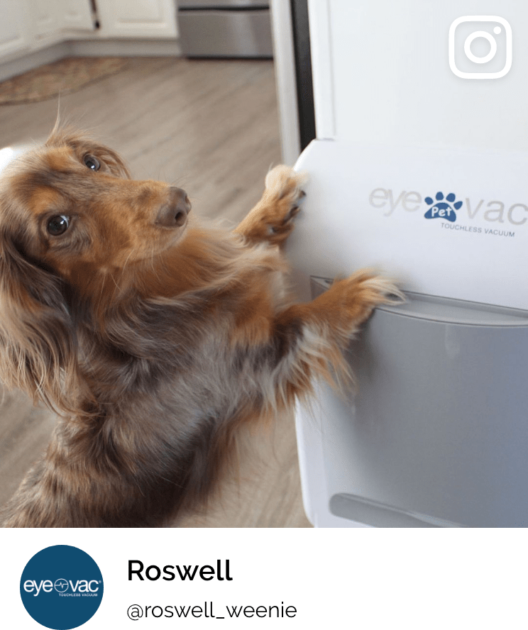 EyeVac Pet 8
