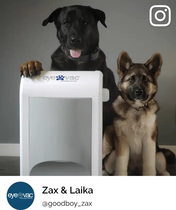 EyeVac Pet 9