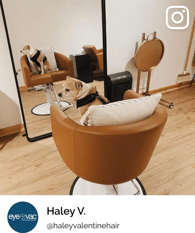 EyeVac Pro 6